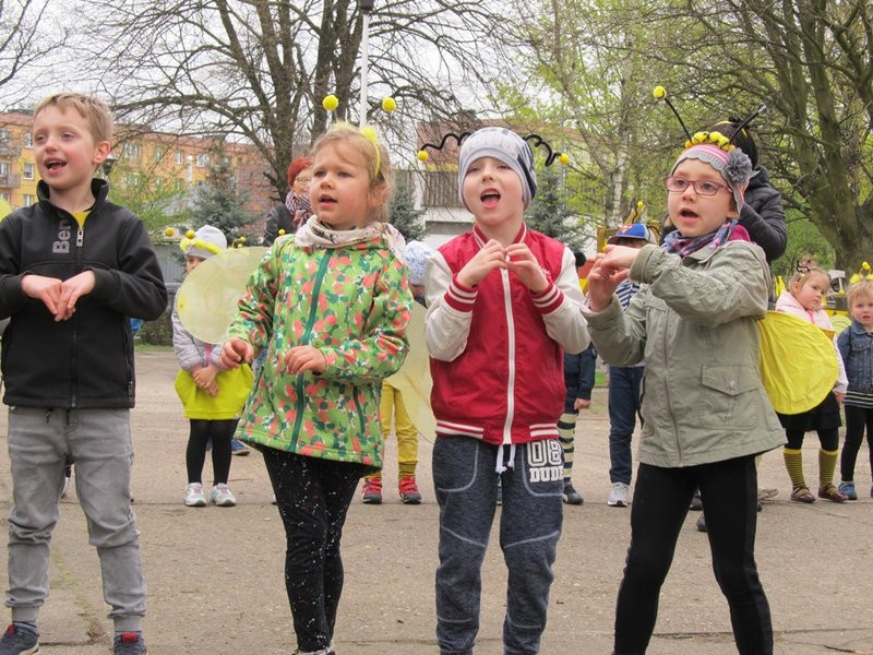 Atak pszczół w centrum Leszna (zdjęcia)