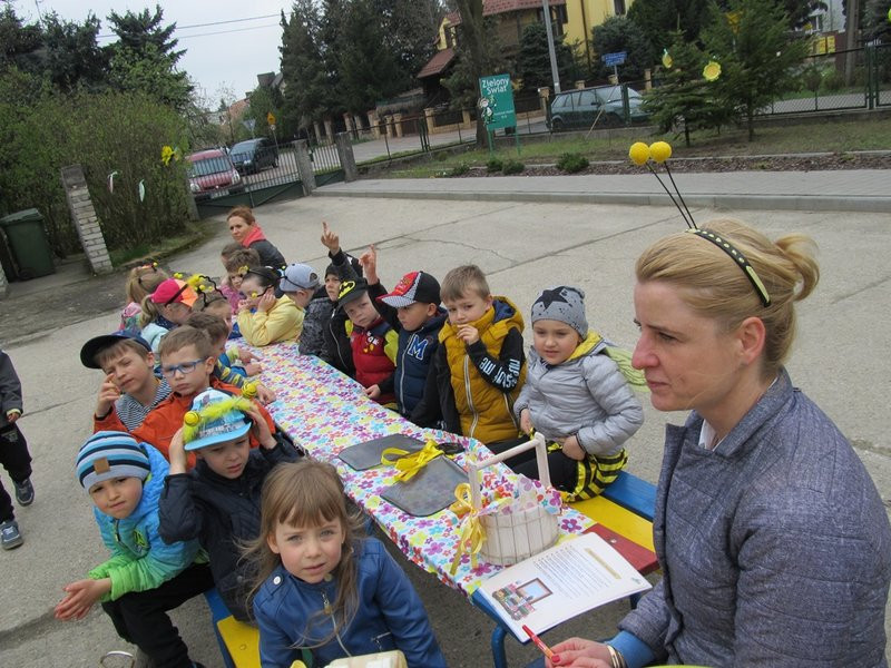 Atak pszczół w centrum Leszna (zdjęcia)
