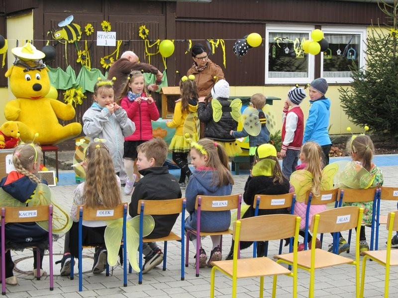 Atak pszczół w centrum Leszna (zdjęcia)