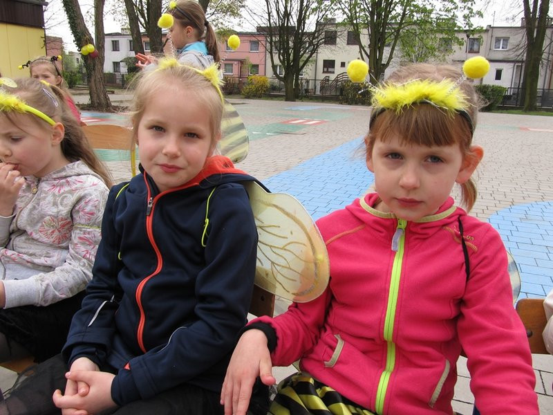 Atak pszczół w centrum Leszna (zdjęcia)