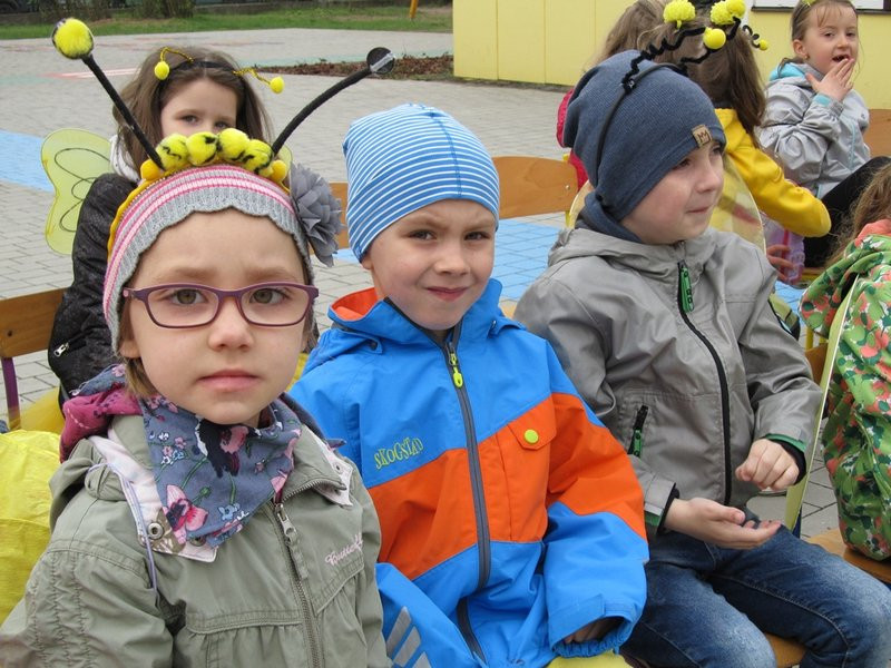 Atak pszczół w centrum Leszna (zdjęcia)