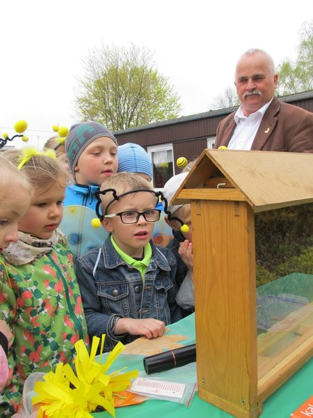 Atak pszczół w centrum Leszna (zdjęcia)