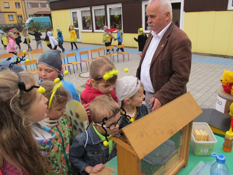 Atak pszczół w centrum Leszna (zdjęcia)