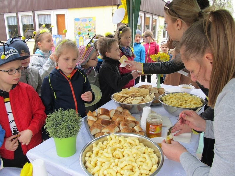 Atak pszczół w centrum Leszna (zdjęcia)