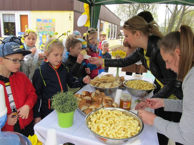 Atak pszczół w centrum Leszna (zdjęcia)