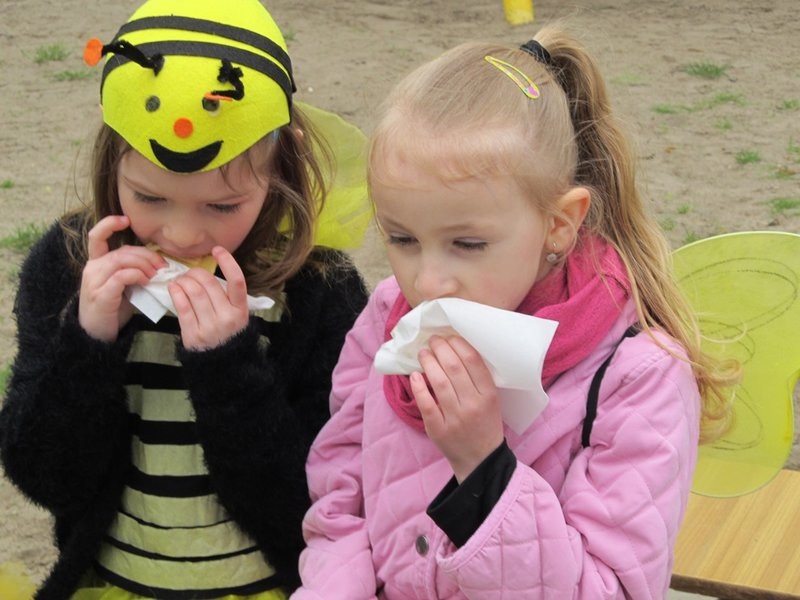 Atak pszczół w centrum Leszna (zdjęcia)