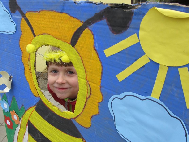 Atak pszczół w centrum Leszna (zdjęcia)