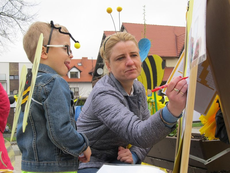 Atak pszczół w centrum Leszna (zdjęcia)