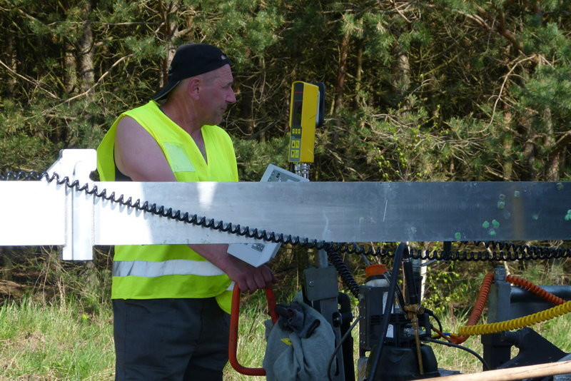 Kilometr dywanika w ciągu dnia (zdjęcia)