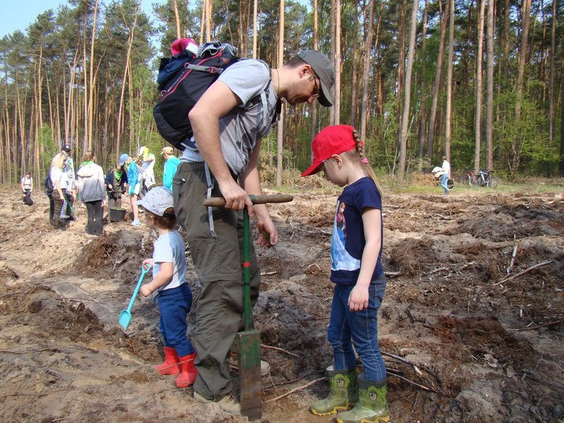 Młody las już rośnie (zdjęcia)