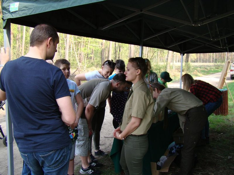 Młody las już rośnie (zdjęcia)