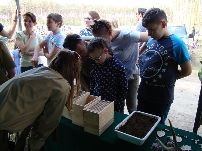Młody las już rośnie (zdjęcia)