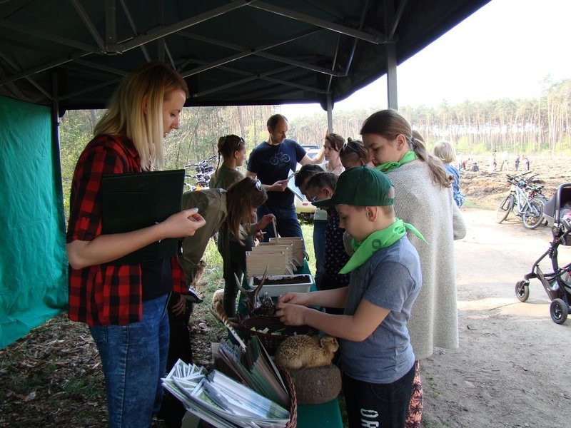 Młody las już rośnie (zdjęcia)