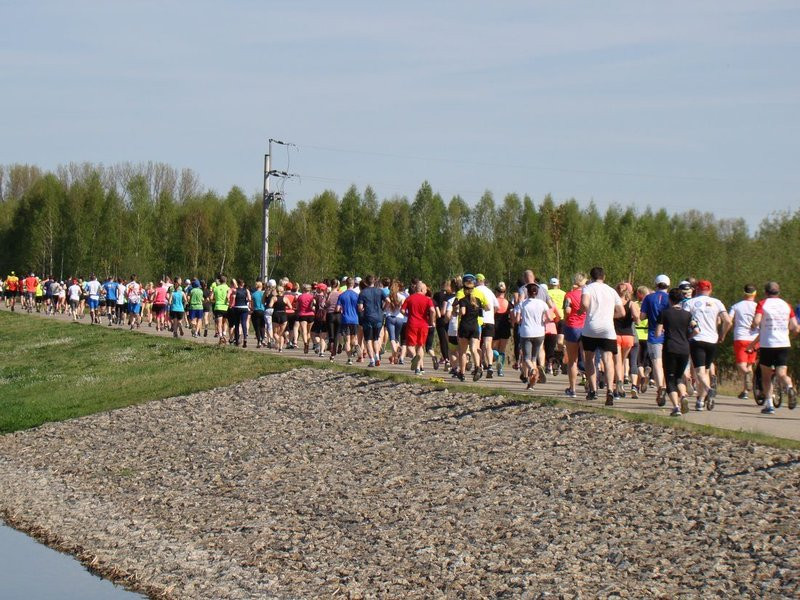 Biegli, szli z kijkami, jechali na rolkach (zdjęcia)