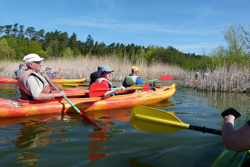 Kajakami z Osiecznej do Kościana (zdjęcia)