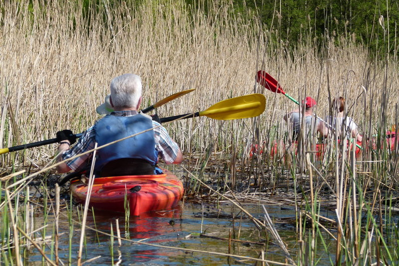 Kajakami z Osiecznej do Kościana (zdjęcia)