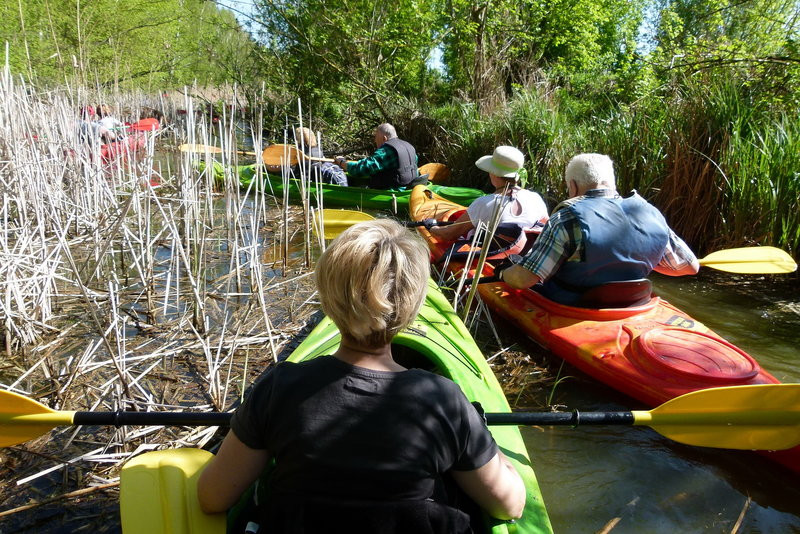 Kajakami z Osiecznej do Kościana (zdjęcia)