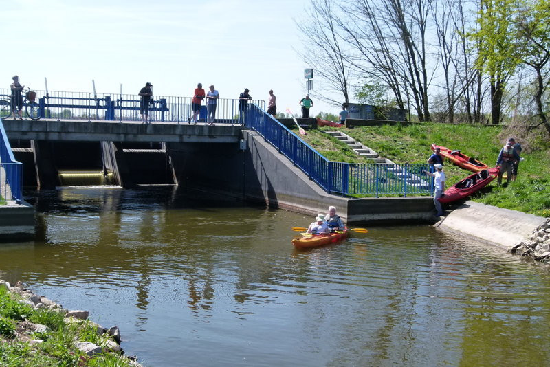 Kajakami z Osiecznej do Kościana (zdjęcia)
