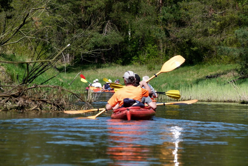 Kajakami z Osiecznej do Kościana (zdjęcia)