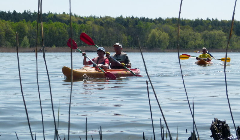 Kajakami z Osiecznej do Kościana (zdjęcia)