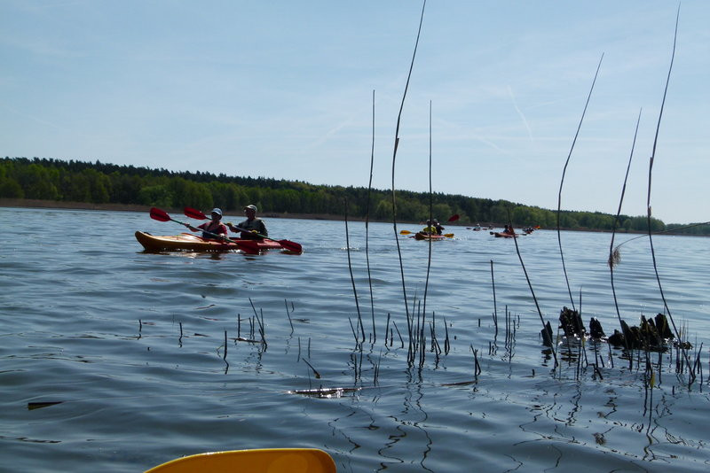 Kajakami z Osiecznej do Kościana (zdjęcia)