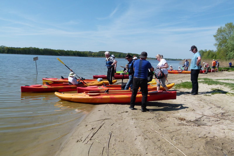 Kajakami z Osiecznej do Kościana (zdjęcia)