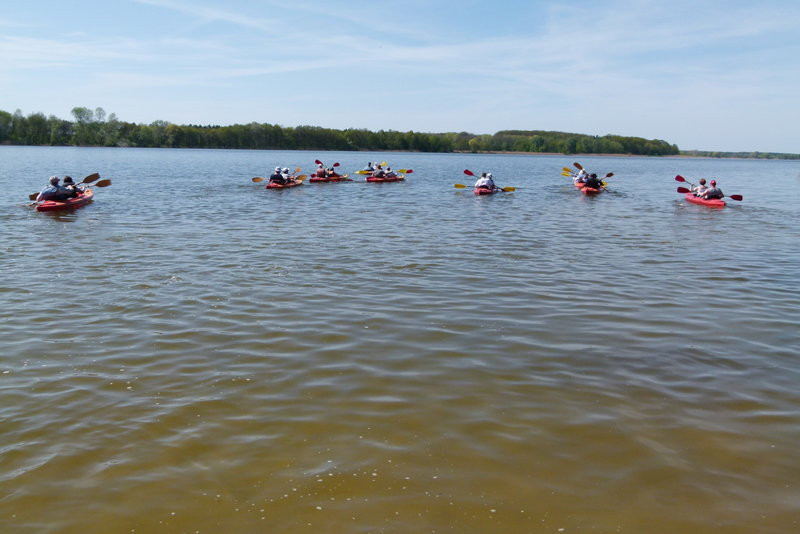 Kajakami z Osiecznej do Kościana (zdjęcia)