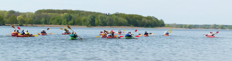 Kajakami z Osiecznej do Kościana (zdjęcia)