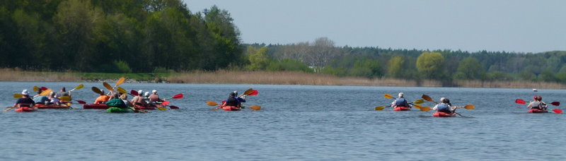 Kajakami z Osiecznej do Kościana (zdjęcia)
