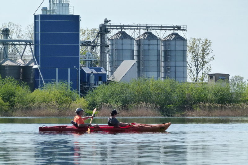 Kajakami z Osiecznej do Kościana (zdjęcia)