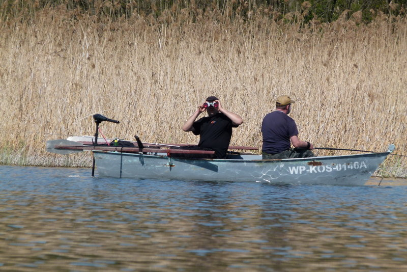 Kajakami z Osiecznej do Kościana (zdjęcia)