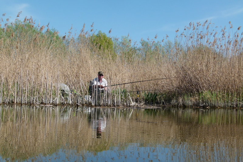 Kajakami z Osiecznej do Kościana (zdjęcia)