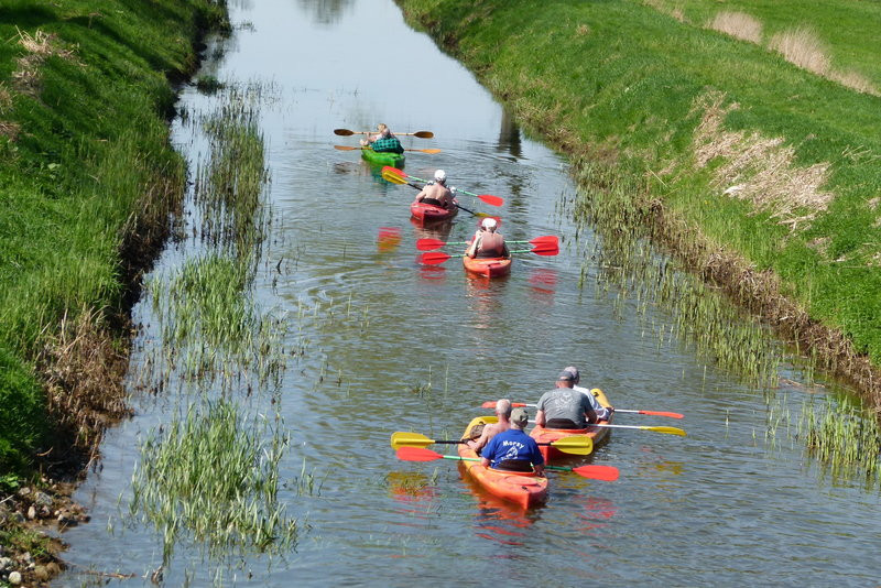 Kajakami z Osiecznej do Kościana (zdjęcia)