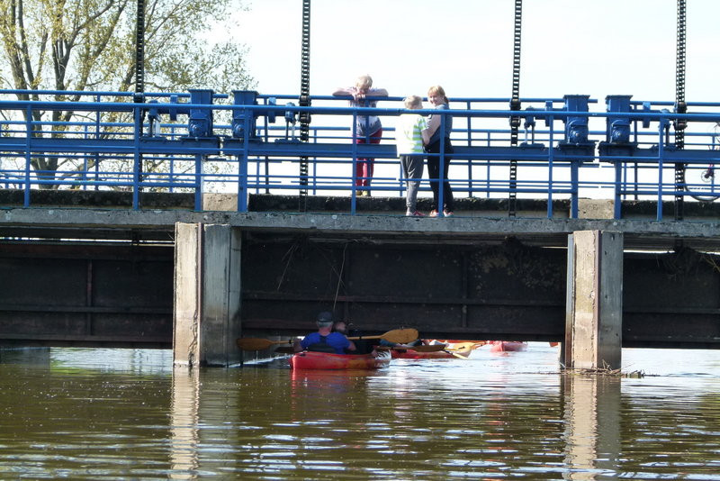 Kajakami z Osiecznej do Kościana (zdjęcia)