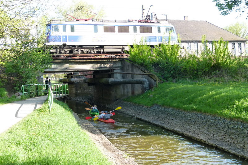 Kajakami z Osiecznej do Kościana (zdjęcia)