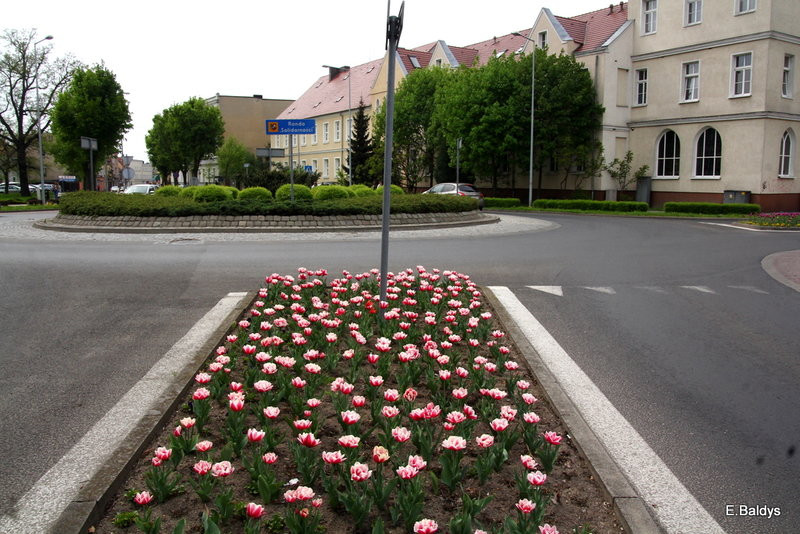 Jolanta Kwaśniewska kwitnie w Lesznie (zdjęcia)