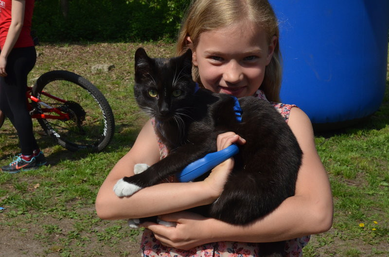 Na sportowo poparli ideę transplantacji (zdjęcia)