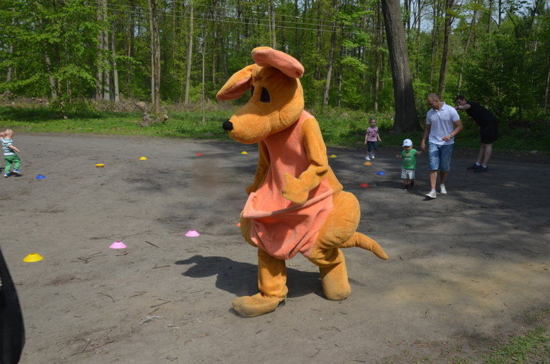 Na sportowo poparli ideę transplantacji (zdjęcia)