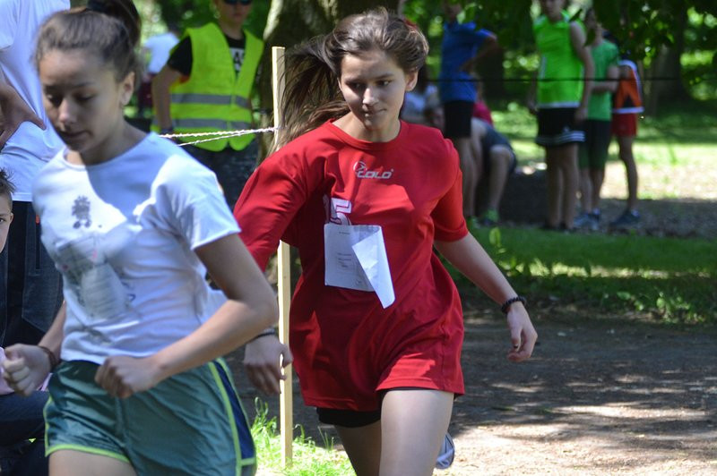 Cross Wagarowicza w Pawłowicach (zdjęcia)