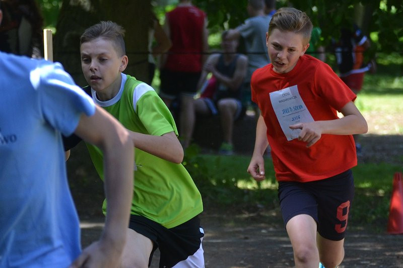 Cross Wagarowicza w Pawłowicach (zdjęcia)