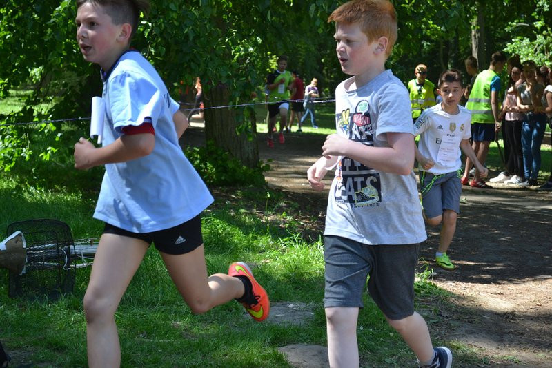 Cross Wagarowicza w Pawłowicach (zdjęcia)