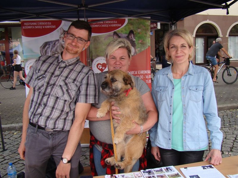 Radośnie, kolorowo, europejsko (zdjęcia)