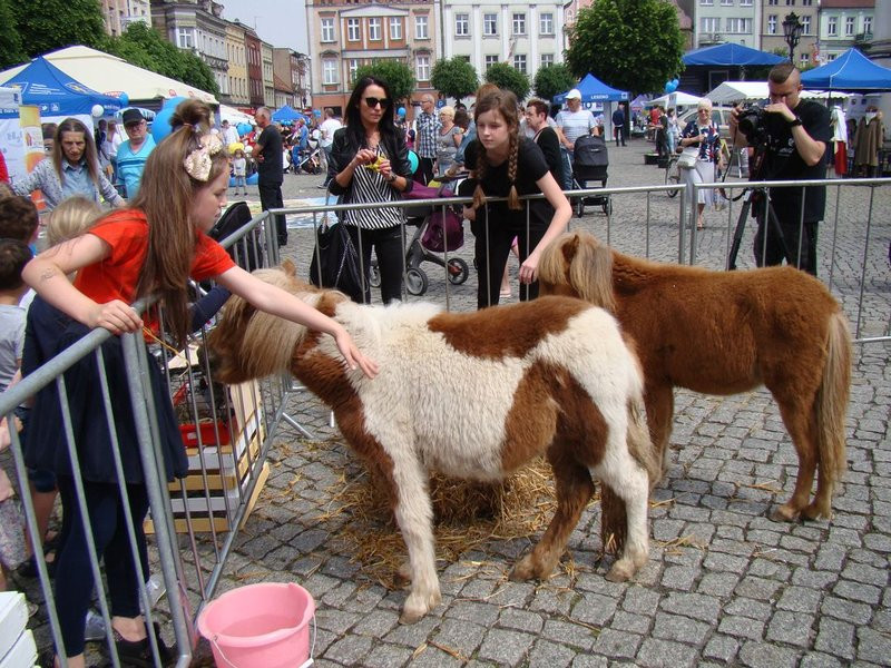 Radośnie, kolorowo, europejsko (zdjęcia)