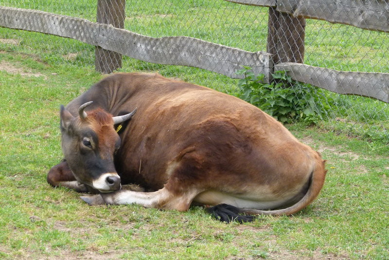 W Smyczynie o puchar i medale Orła (zdjęcia)