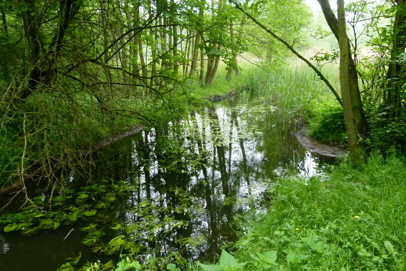 W Smyczynie o puchar i medale Orła (zdjęcia)