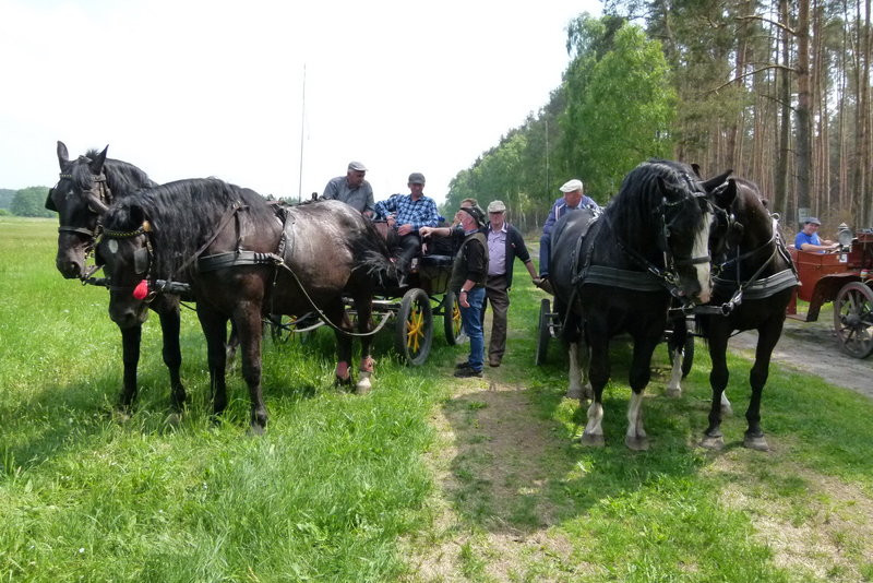 Konna Majówka w Wilkowicach (zdjęcia)