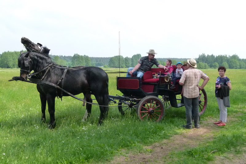 Konna Majówka w Wilkowicach (zdjęcia)