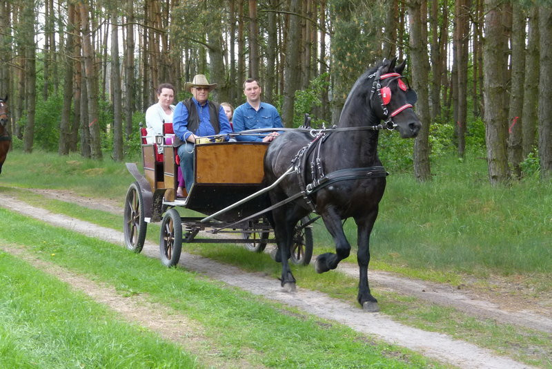 Konna Majówka w Wilkowicach (zdjęcia)