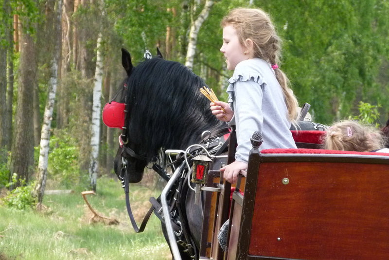 Konna Majówka w Wilkowicach (zdjęcia)