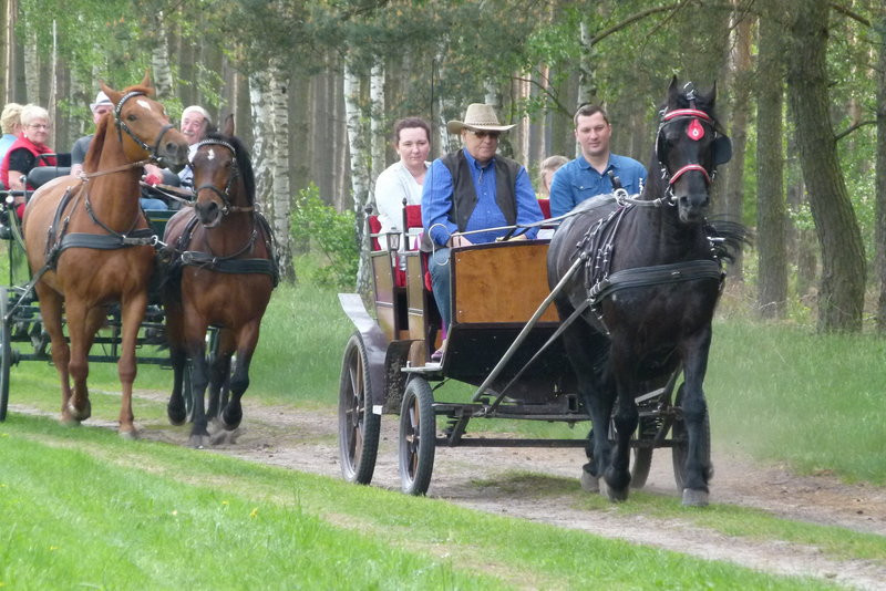 Konna Majówka w Wilkowicach (zdjęcia)